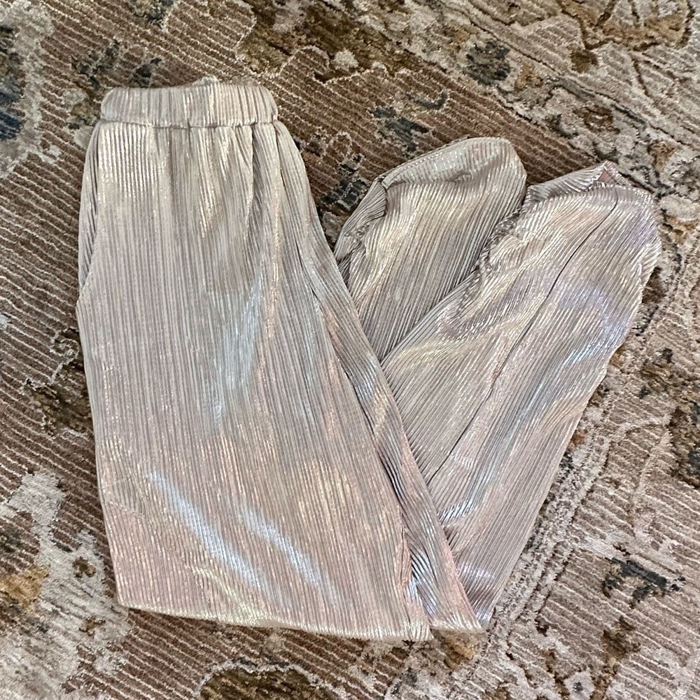 Ripley Rader Silver/Metallic joggers 🤍 Size 3 (Medium)